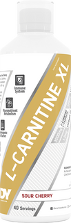 DY Nutrition L-Carnitine XL - 1000 ml
