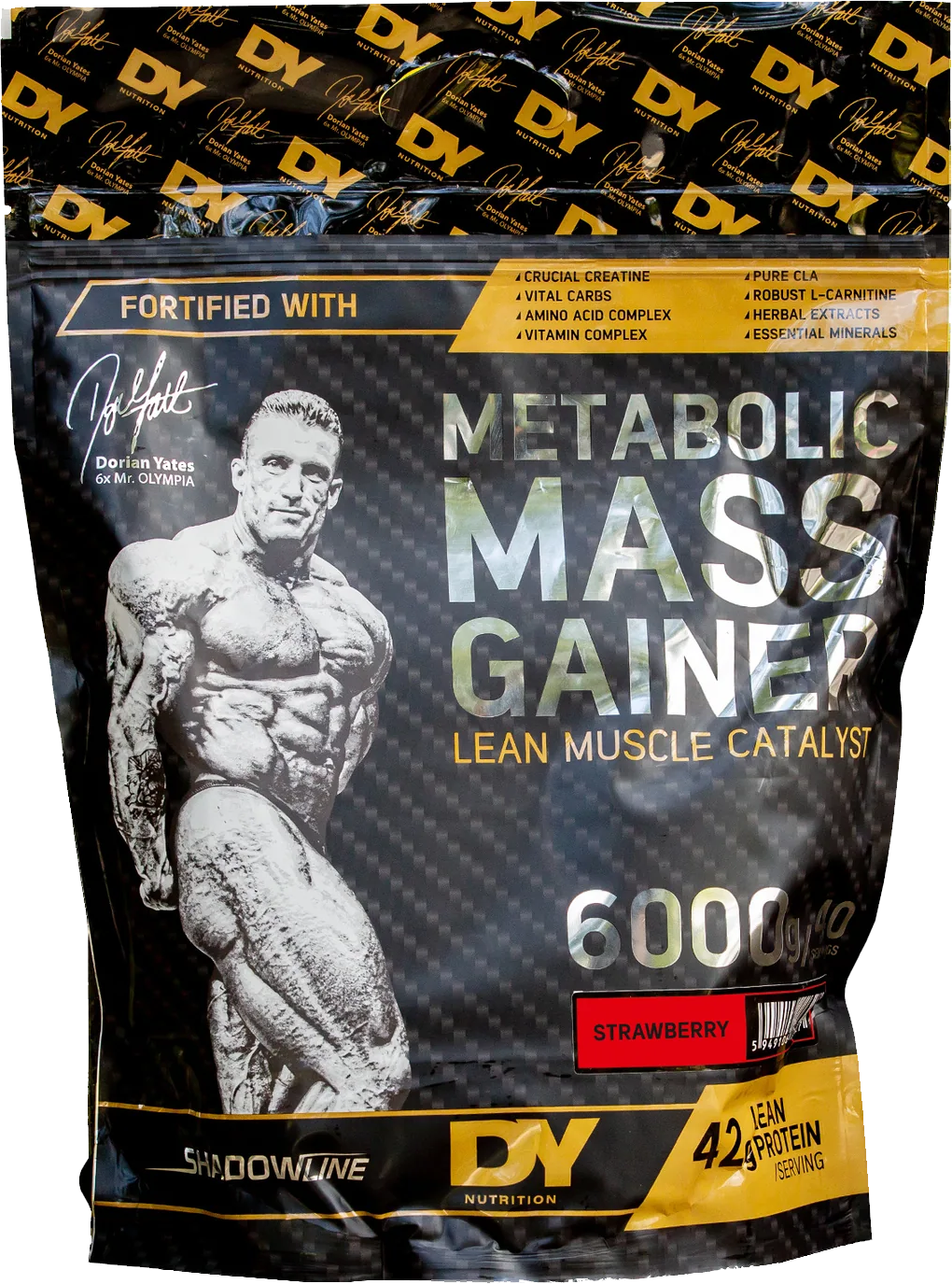 DY Nutrition Metabolic Mass Gainer - 6000 g