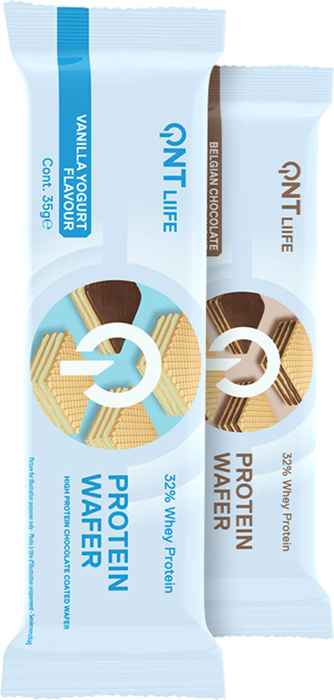 QNT Protein Wafer 32% - 12 x 35 g