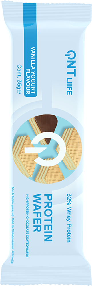QNT Protein Wafer 32% - 12 x 35 g