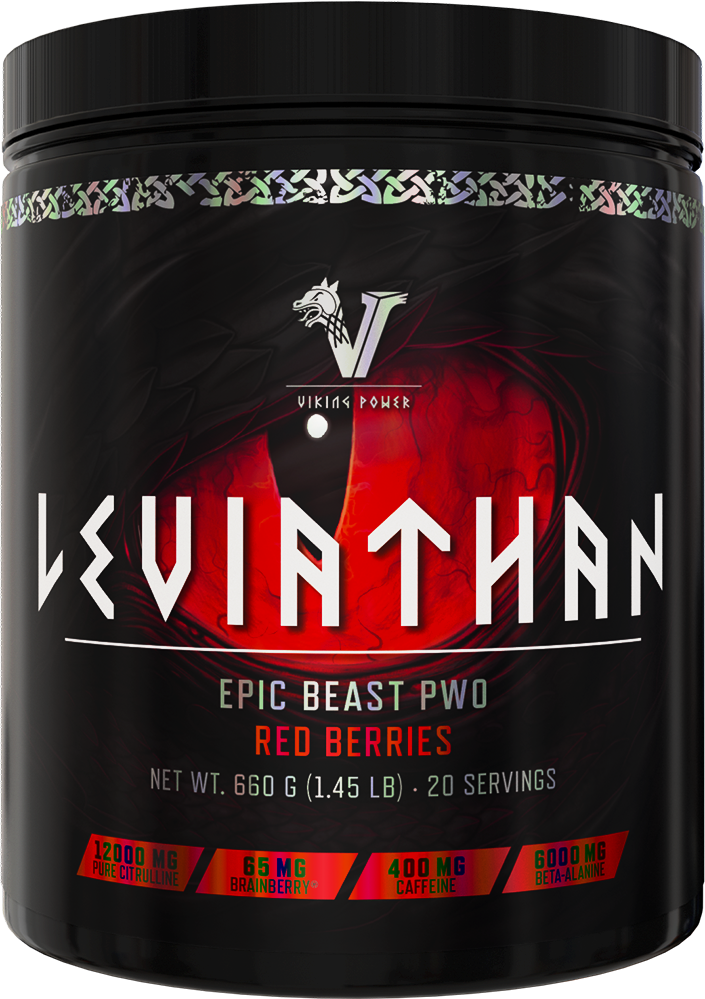 Viking Power Leviathan Hardcore PWO - 660 g