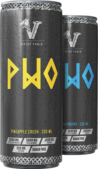 Viking Power PWO Energy Drink - 24 x 330 ml