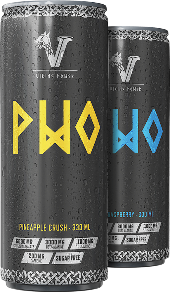 Viking Power PWO Energy Drink - 24 x 330 ml