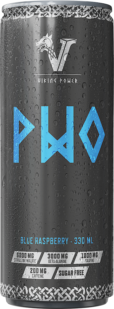 Viking Power PWO Energy Drink - 24 x 330 ml