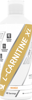 DY Nutrition L-Carnitine XL - 1000 ml