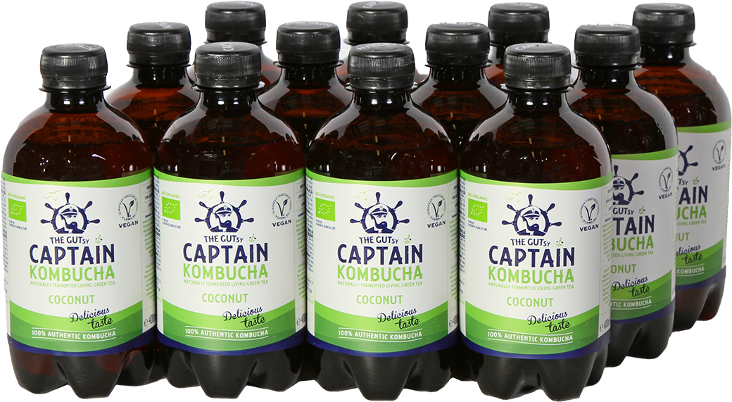 The Gutsy Captain Kombucha - 12 x 400 ml
