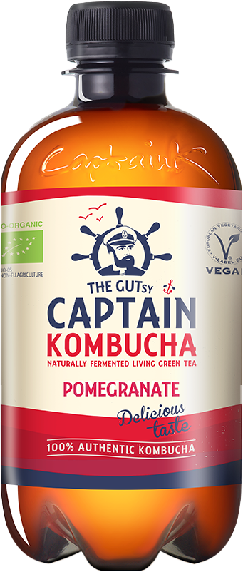 The Gutsy Captain Kombucha - 12 x 400 ml