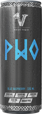 Viking Power PWO Energy Drink - 24 x 330 ml