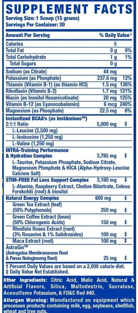 RCSS Amino-Tone + Energy - 450 g